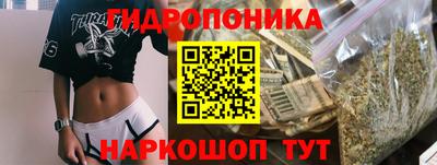 мяу мяу мука Будённовск