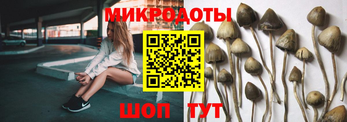 Псилоцибиновые грибы GOLDEN TEACHER Артёмовский