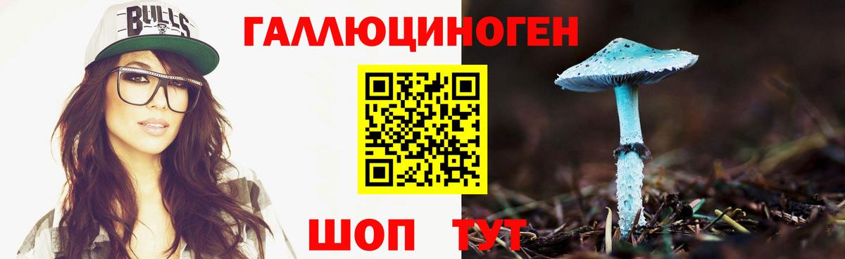 Артёмовский  Галлюциногенные грибы прущие грибы  Вход с VPN 